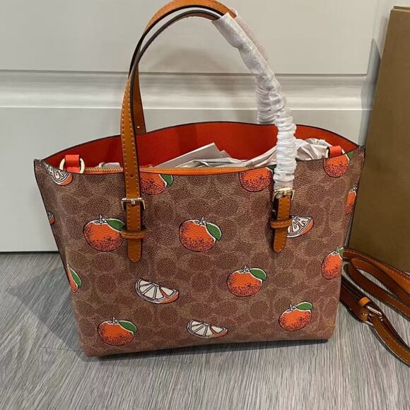 COACH Teri  Bag, Size 25cm - Picture 3 of 9